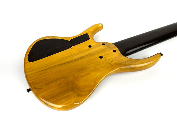 MTD 635-24 w/ Extra Fretless Neck
