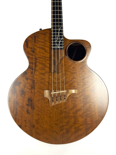 Taylor AB2