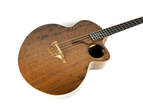 Taylor AB2