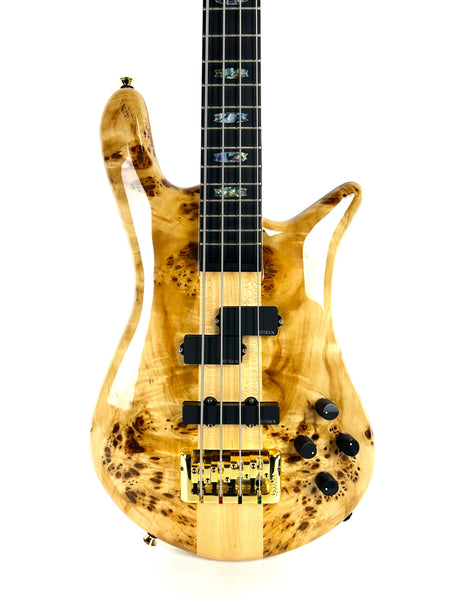 Spector Euro CST 4st.