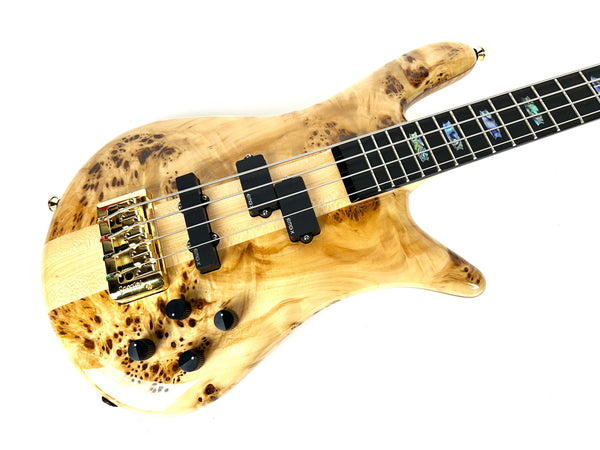 Spector Euro CST 4st.