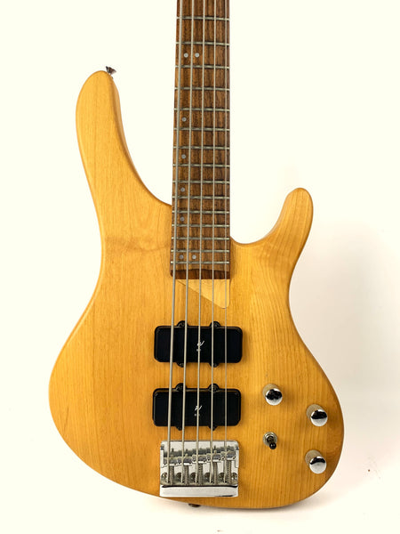 Washburn XB-500 5弦ベース ワッシュバーン XB500（Washburn