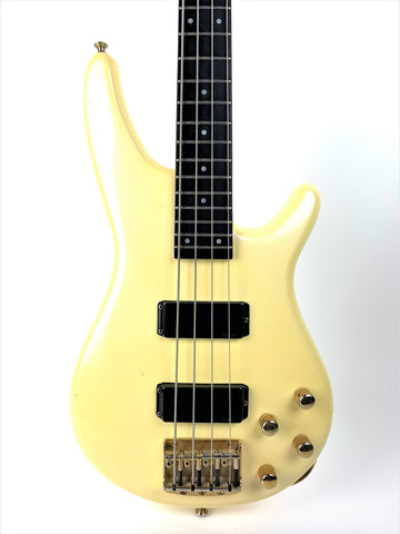 Ibanez Musician