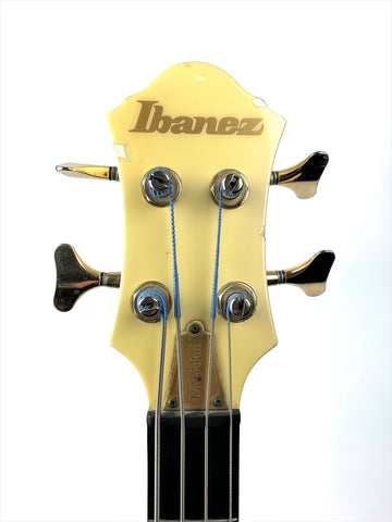 Ibanez Musician