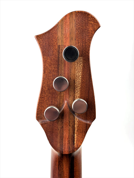 David King Ryder Bass