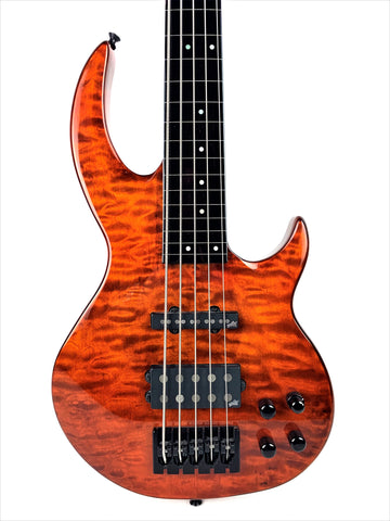 ESP Ltd. BB1005FL
